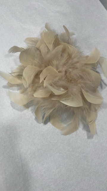 Spilla piume