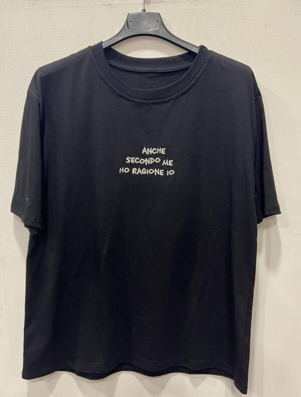 t-shirt HO RAGIONE